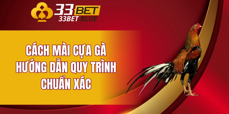 Cách mài cựa gà - Hướng dẫn quy trình chuẩn xác