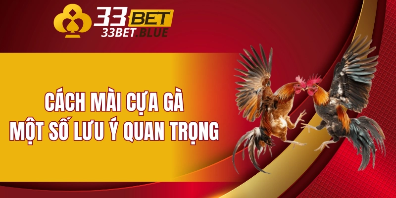 Cách mài cựa gà - Một số lưu ý quan trọng