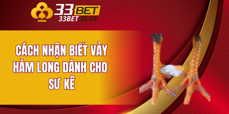 Cách nhận biết vảy hàm long dành cho sư kê