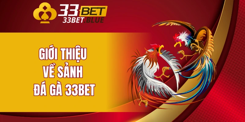 Giới thiệu về sảnh đá gà 33BET
