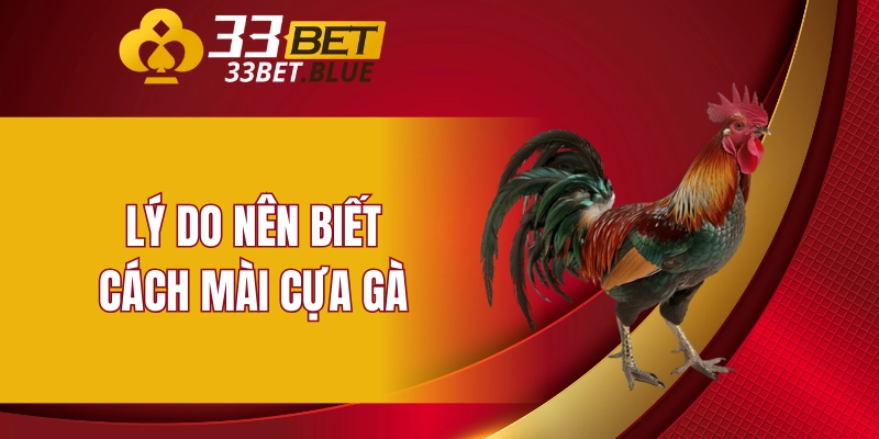 Lý do nên biết cách mài cựa gà