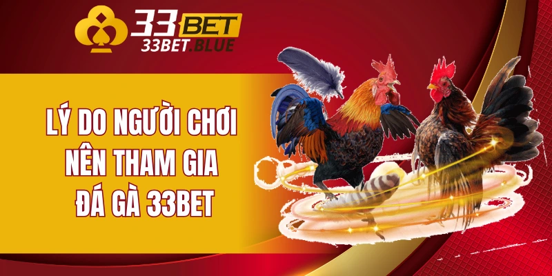 Lý do người chơi nên tham gia đá gà 33BET