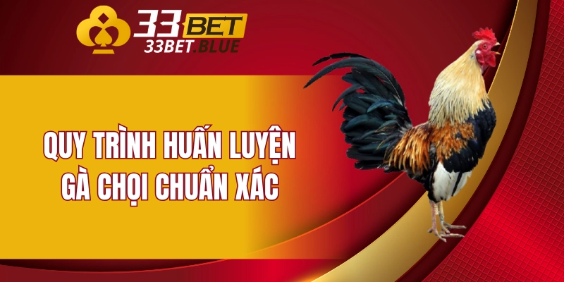 Quy trình huấn luyện gà chọi chuẩn xác