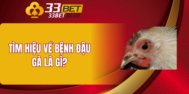 Tìm hiểu về bệnh đậu gà là gì?